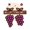 Oenotourisme viste de la cave de l'île de Ré