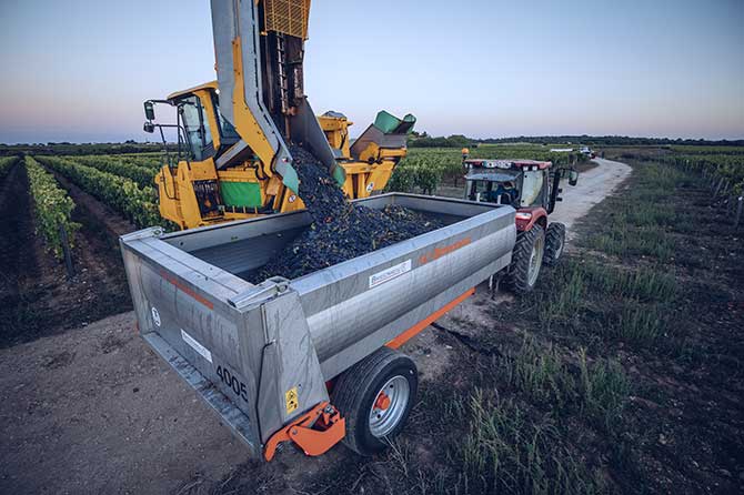 visuel newsletter septembre 2025 cave coopérative île de Ré vin pineaux cognacs