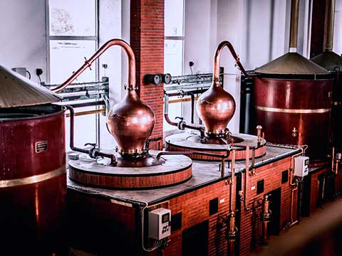 visuel newsletter décembre 2025 cave coopérative île de Ré vin pineaux cognacs