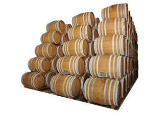 visite et dégustation cave l'île de Ré 