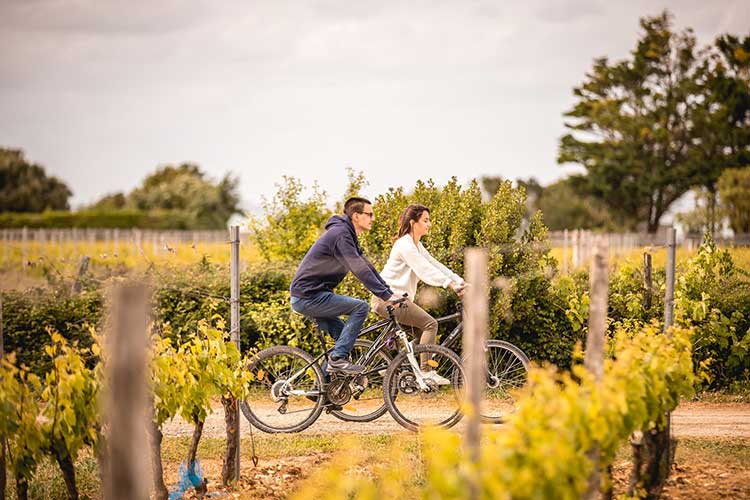 visuel newsletter Août 2022 cave coopérative île de Ré vin pineaux cognacs