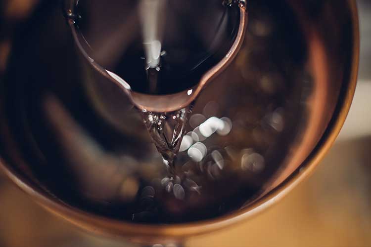 visuel newsletter novembre 2022 cave coopérative île de Ré vin pineaux cognacs