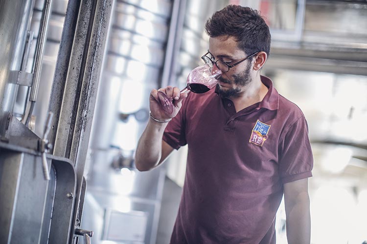 visuel newsletter janvier 2022 cave coopérative île de Ré vin pineaux cognacs