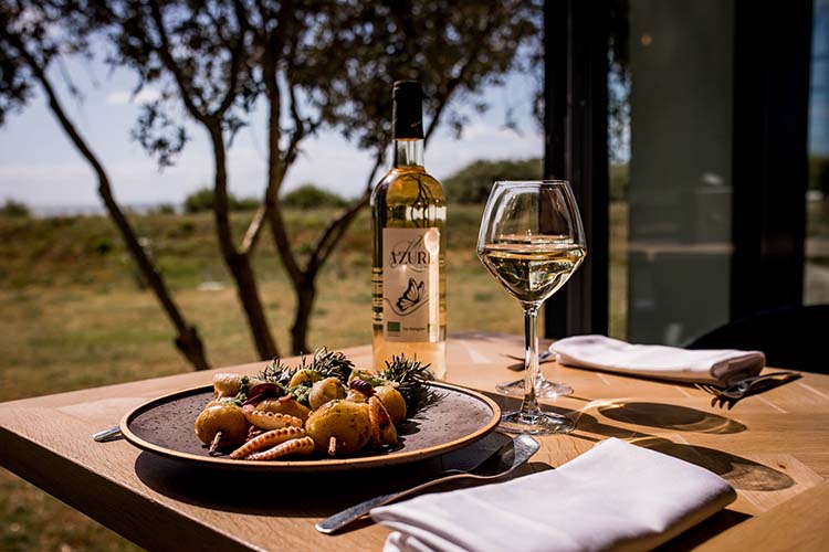 visuel newsletter mai 2022 cave coopérative île de Ré vin pineaux cognacs