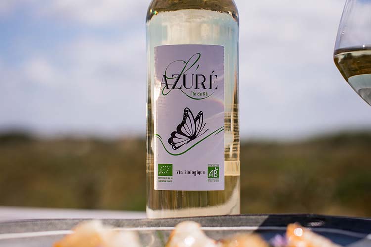 visuel newsletter mars 2022 cave coopérative île de Ré vin pineaux cognacs