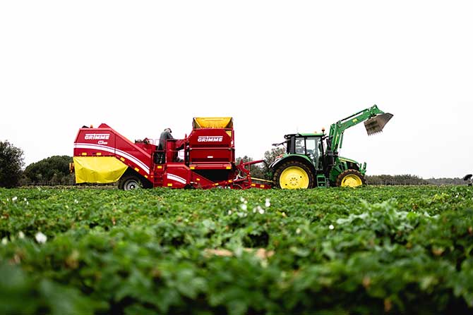 visuel newsletter juillet 2023 cave coopérative île de Ré vin pineaux cognacs